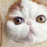 广州第一人民医院做试管成功率高吗几率大概多少