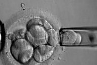 2026年想去普宁市做试管婴儿需要准备哪些事？详细收费明细一览