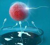 鹤岗私立机构做三代试管费用介绍，内附成功率数据！