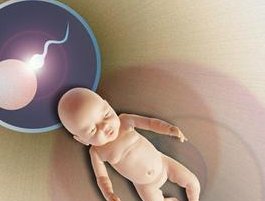 云南正规试管婴儿助孕机构有哪些？做三代试管需要满足哪些条件？